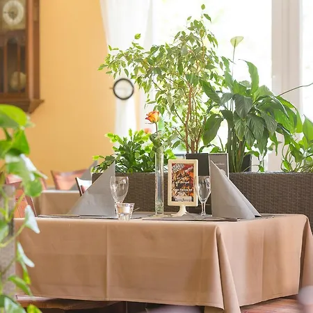 Stadt-gut-hotel Siegboot 3* Siegen