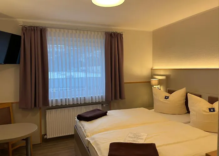 Hotel Stadt-gut-hotel Siegboot 3*