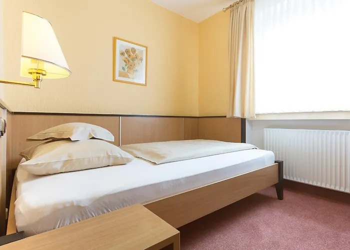 Hotel Stadt-gut-hotel Siegboot 3*